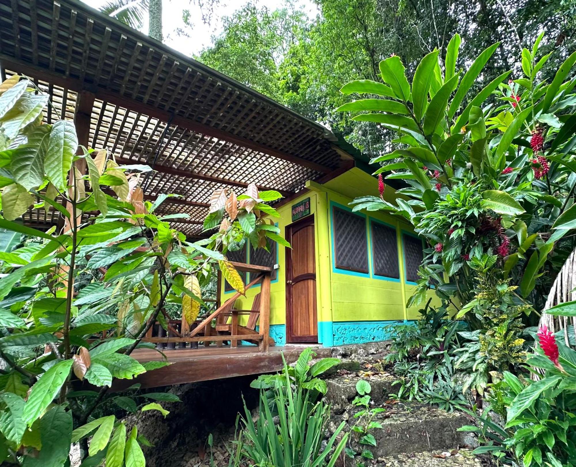 Palmeras Del Rio Hotel La Vina Екстериор снимка