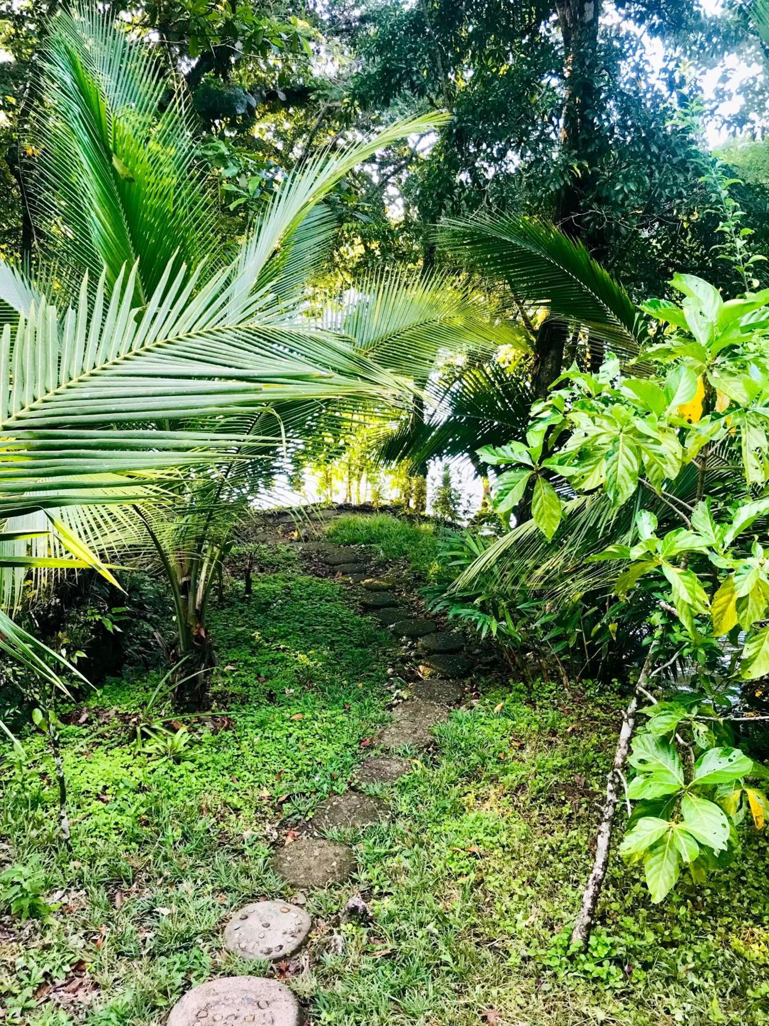 Palmeras Del Rio Hotel La Vina Екстериор снимка